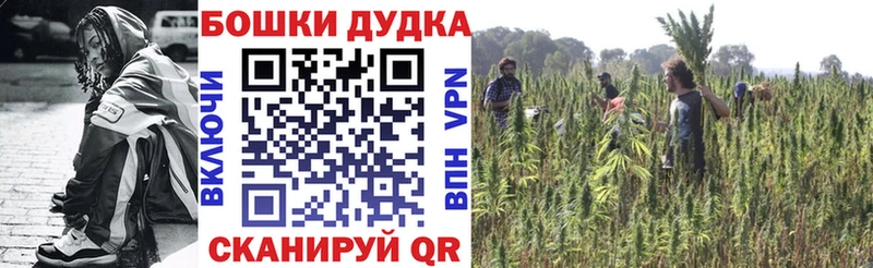 купить наркоту  Саки  Шишки марихуана ГИДРОПОН 
